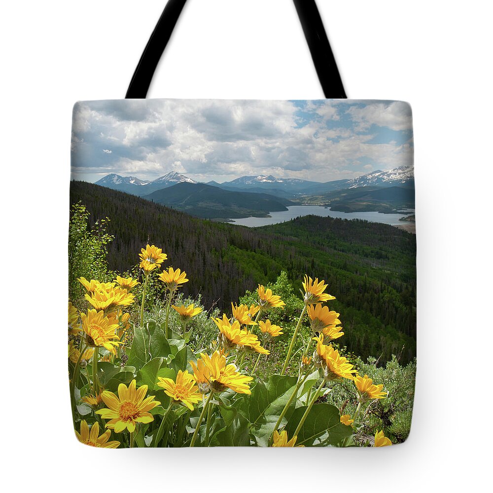 Silverthorne Tote Bag featuring the photograph Brilliant Balsamroot and Silverthorne by Cascade Colors