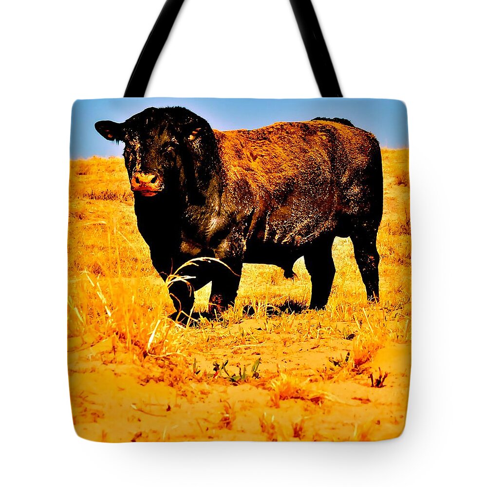 Yellow Tote Bag featuring the photograph Bring It by Amanda Smith