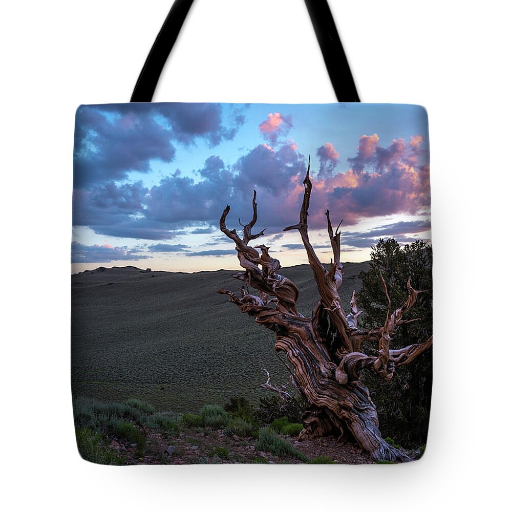 Landscape Tote Bag featuring the photograph Bristlecone Pine Sunset 2 by Scott Cunningham