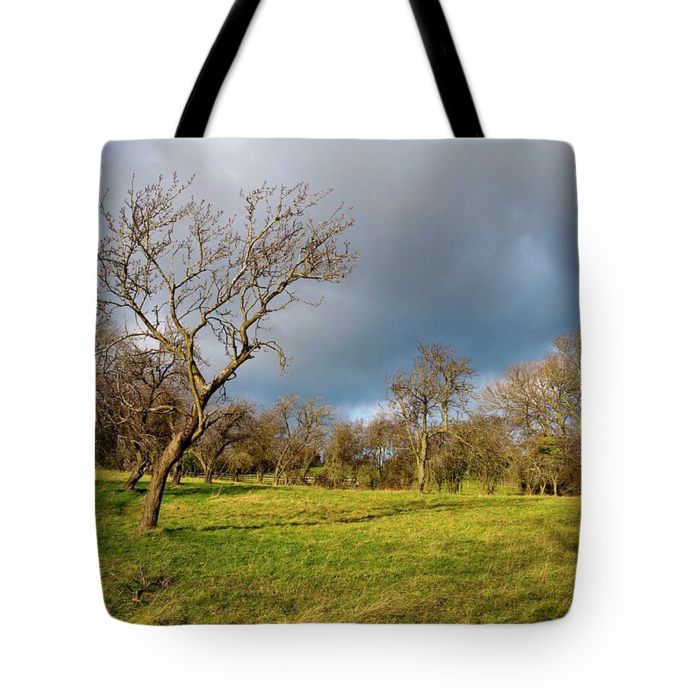 Field Tote Bag featuring the photograph British countryside in winter by Dutourdumonde Photography