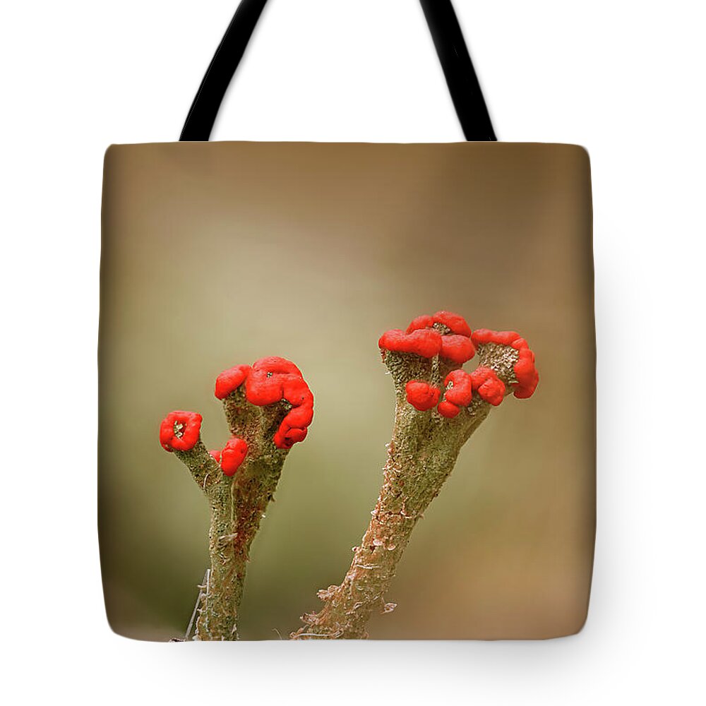 Lichen Tote Bag featuring the photograph British Soldiers by Robert Charity