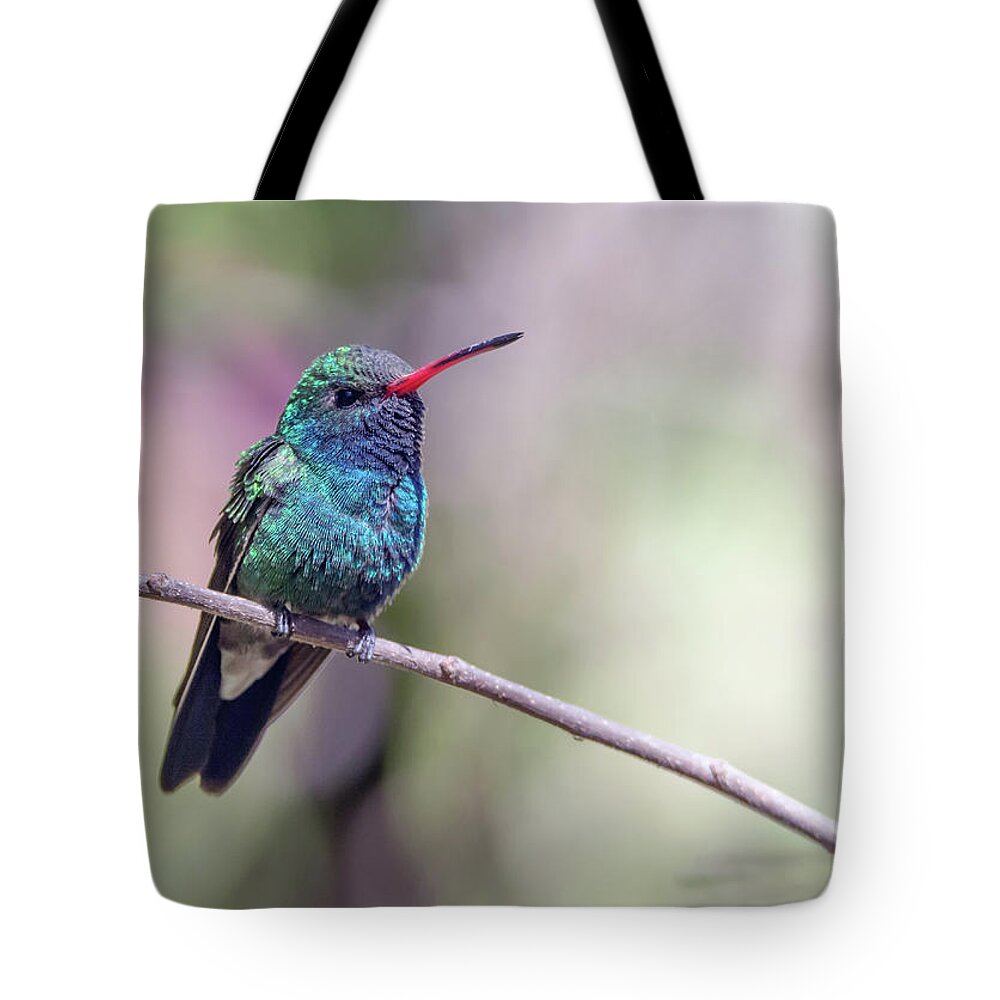 Broad-billed Tote Bag featuring the photograph Broad-billed Hummingbird 2008-031718-1cr by Tam Ryan