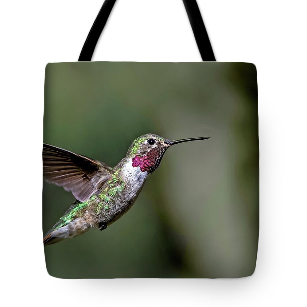 Broad-tailed Hummingbird Tote Bag featuring the photograph Broad-tailed Hummingbird Male by Dawn Key