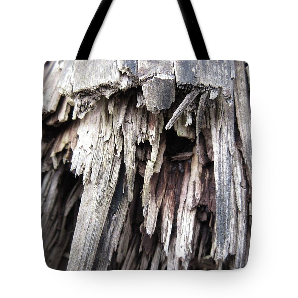 Log Tote Bag featuring the photograph Broken Log by Christy P
