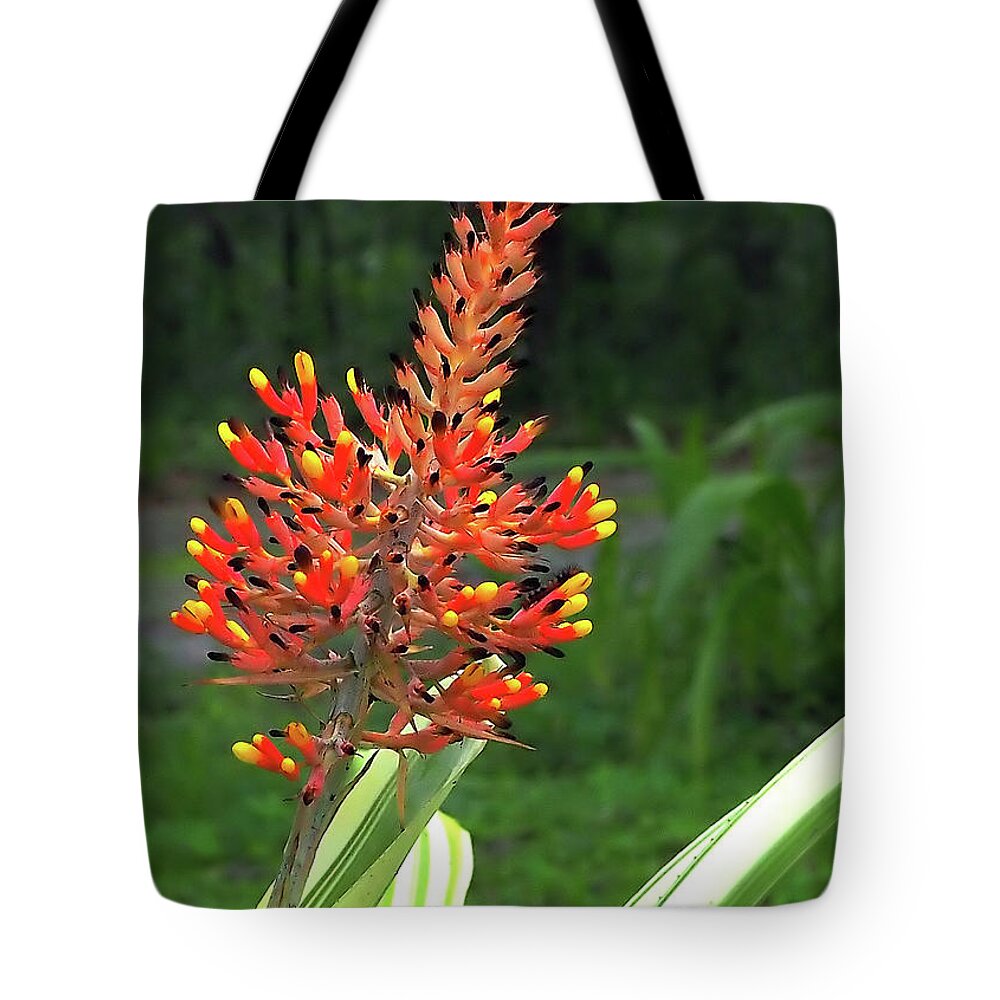 Bromeliad Tote Bag featuring the photograph Bromeliad by Farol Tomson