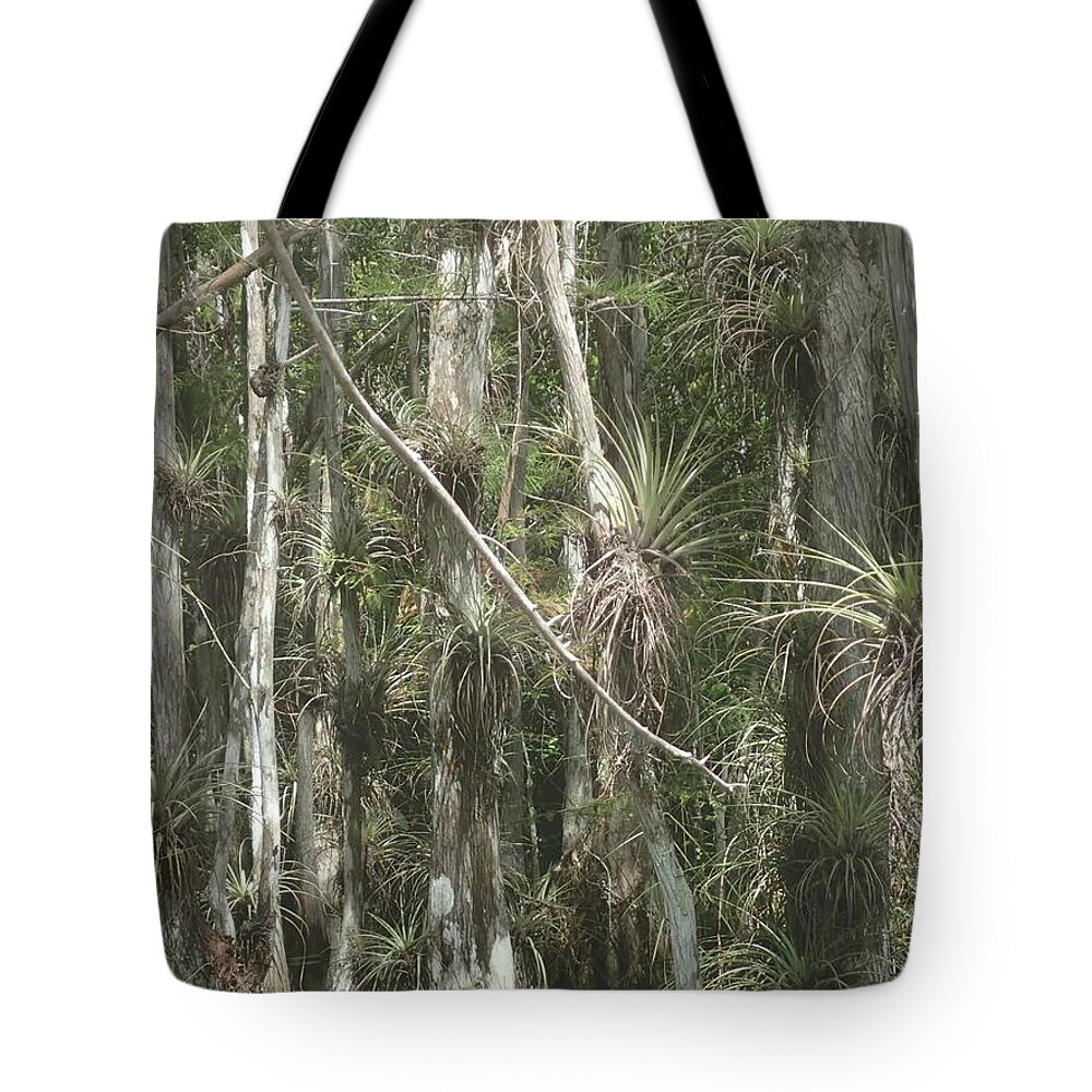 Cyprus Tote Bag featuring the photograph Bromeliads on Trees by Denise Cicchella