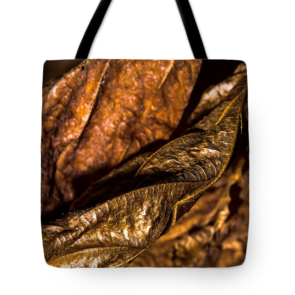 Bronze Tote Bag featuring the photograph Bronze Leaves by Robert McKay Jones