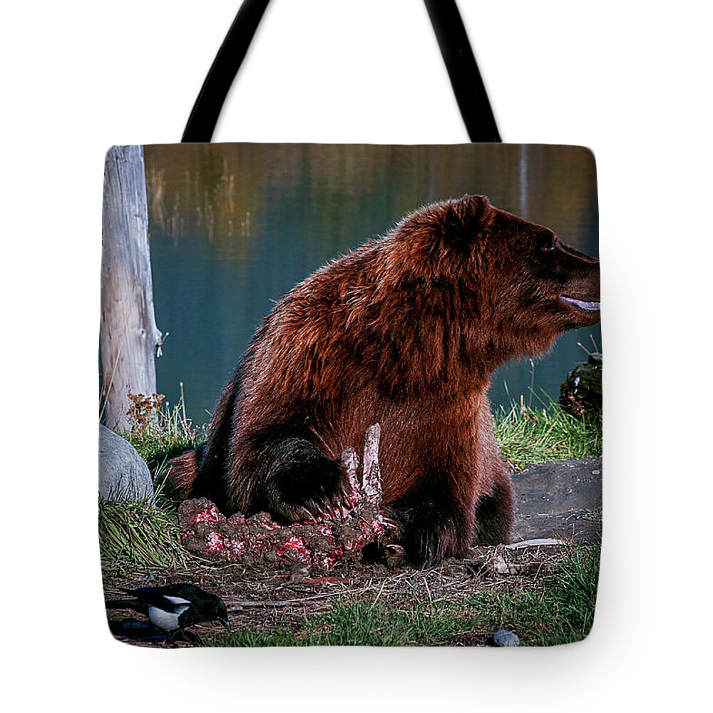 Wildlife Tote Bag featuring the photograph Brown Bear and Magpie by Benjamin Dahl