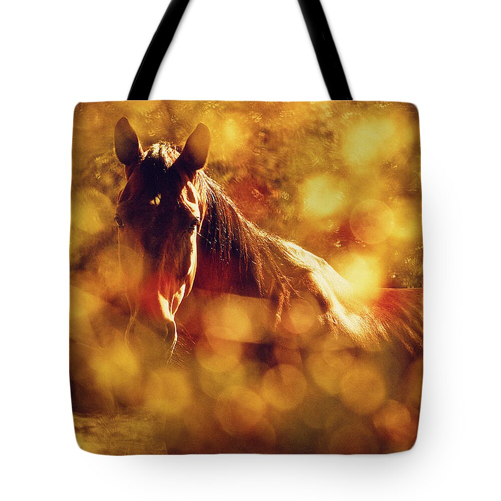 Horse Tote Bag featuring the photograph Brown Horse Portrait In Summer Day by Dimitar Hristov