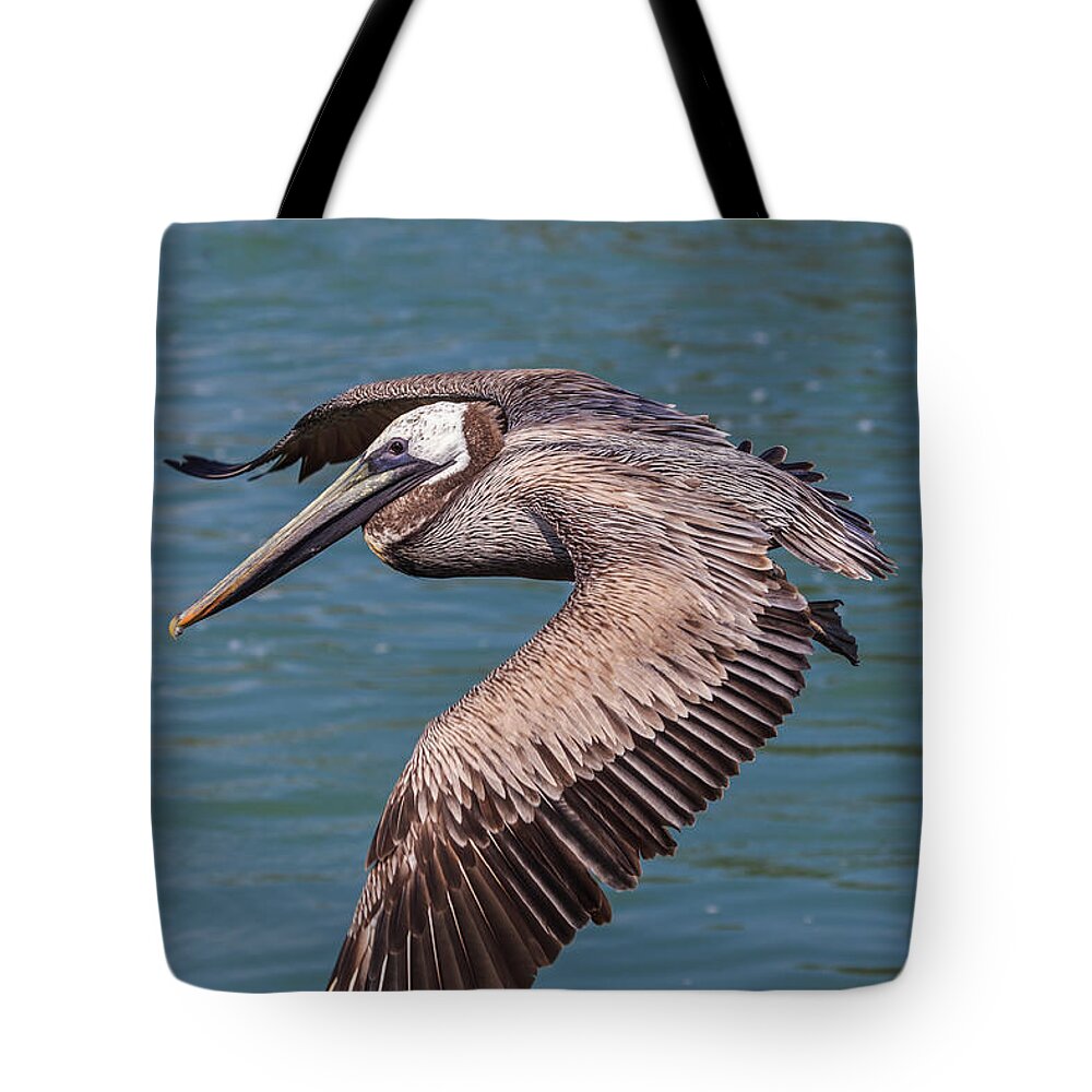 Florida Tote Bag featuring the photograph Brown Pelican in Flight by Paul Schultz