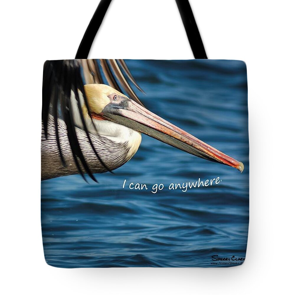 Tote Bag featuring the photograph Brown Pelican says I Can Go Anywhere by Sherry Clark