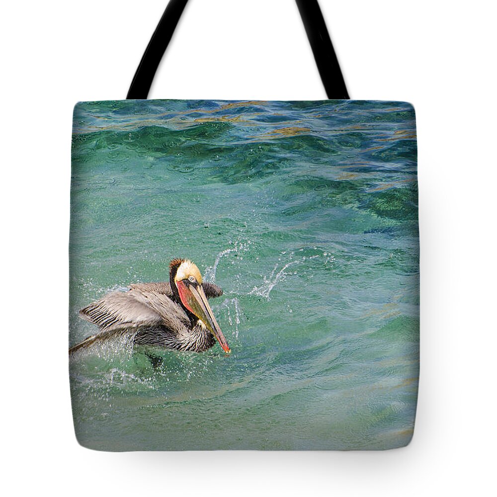 Brown Pelican Tote Bag featuring the photograph Brown Pelican by Susan McMenamin