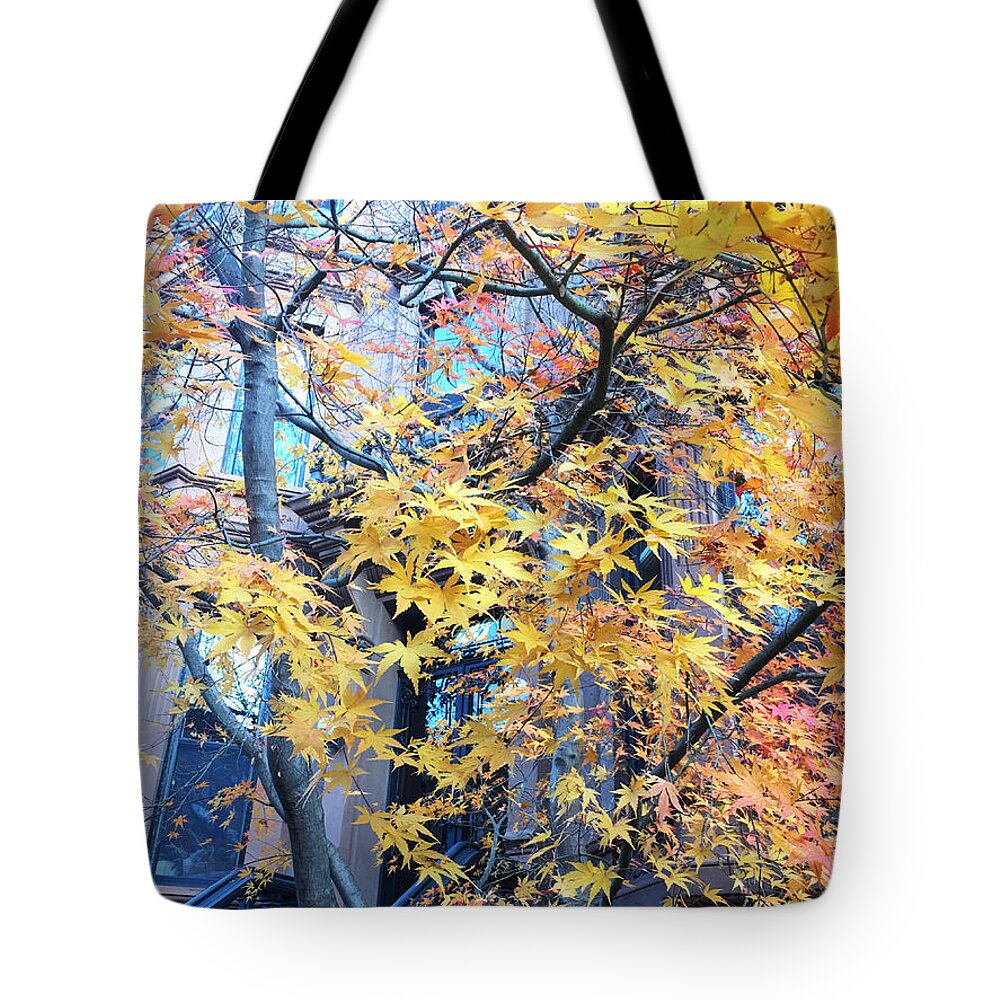 Borownstone Tote Bag featuring the photograph Brownstone in Fall by Onedayoneimage Photography