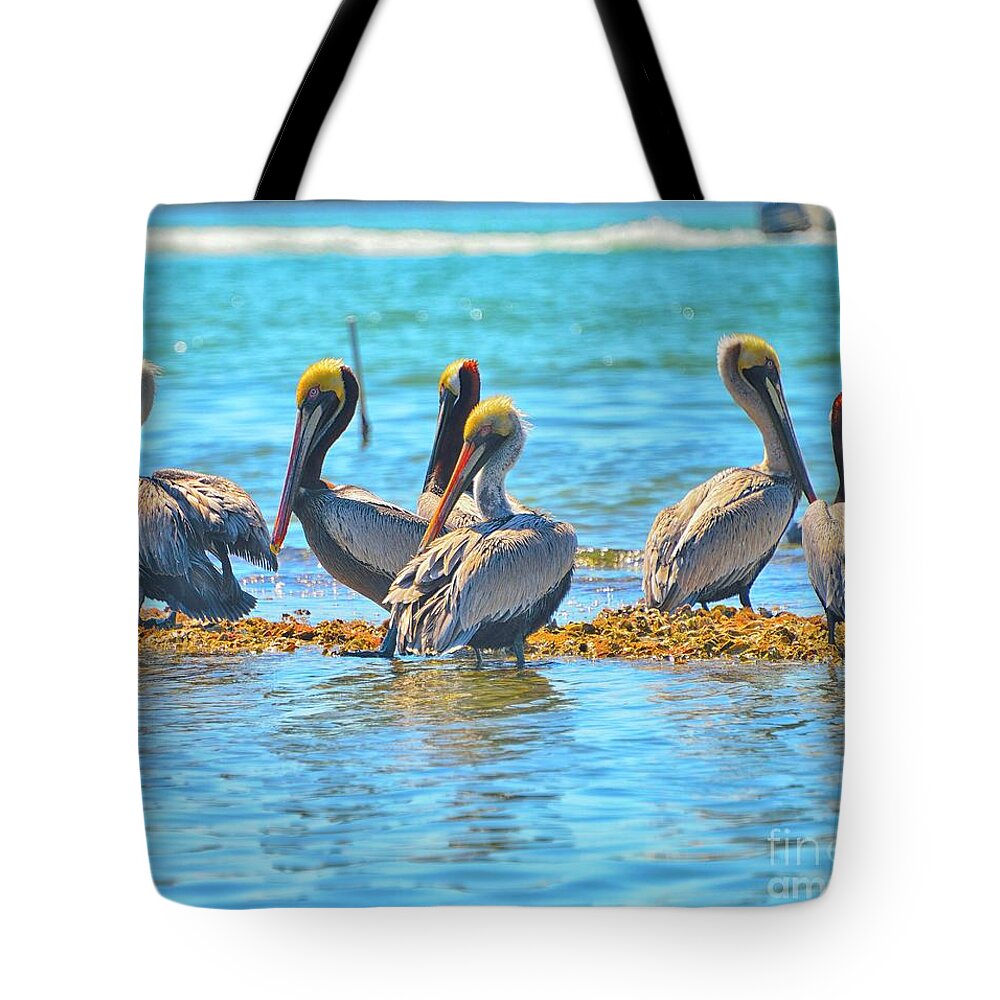 Englwood Florida Tote Bag featuring the photograph Brunch by Alison Belsan Horton
