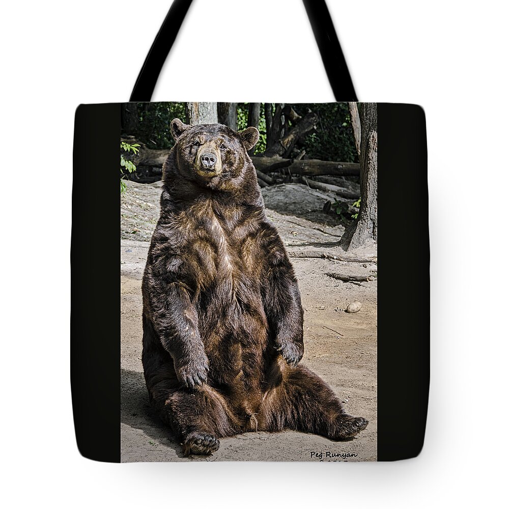Black Bear Tote Bag featuring the photograph Bruno the Bear by Peg Runyan