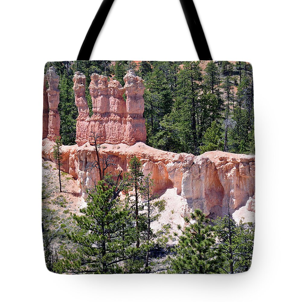 Bryce Tote Bag featuring the photograph Bryce Canyon Backcountry by Bruce Gourley