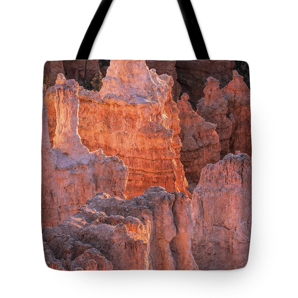 Philip Preston Tote Bag featuring the photograph Bryce Canyon Hoodoos #6, Utah, USA by Philip Preston