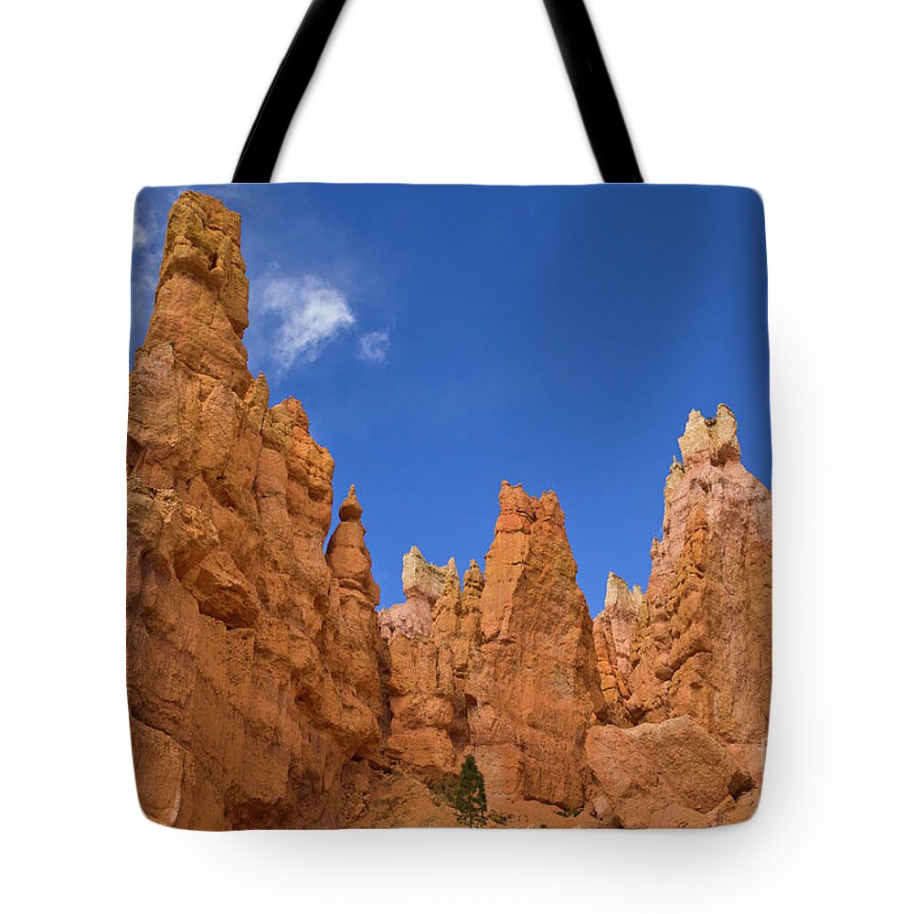 00559157 Tote Bag featuring the photograph Bryce Canyon Hoodoos by Yva Momatiuk John Eastcontt