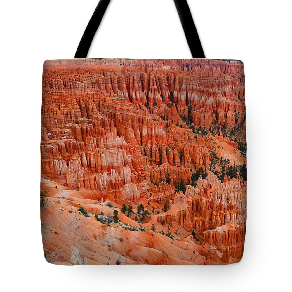 Bryce Canyon Tote Bag featuring the photograph Bryce Canyon Megapixels by Raymond Salani III