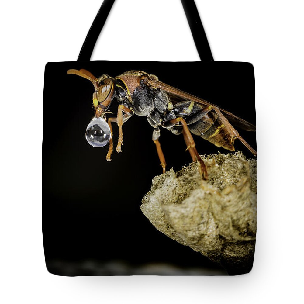 Macro Tote Bag featuring the photograph Bubble Blowing Wasp by Chris Cousins