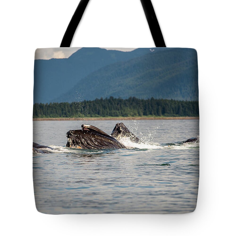 Alaska Tote Bag featuring the photograph Bubble Feeders 2 by David Kirby
