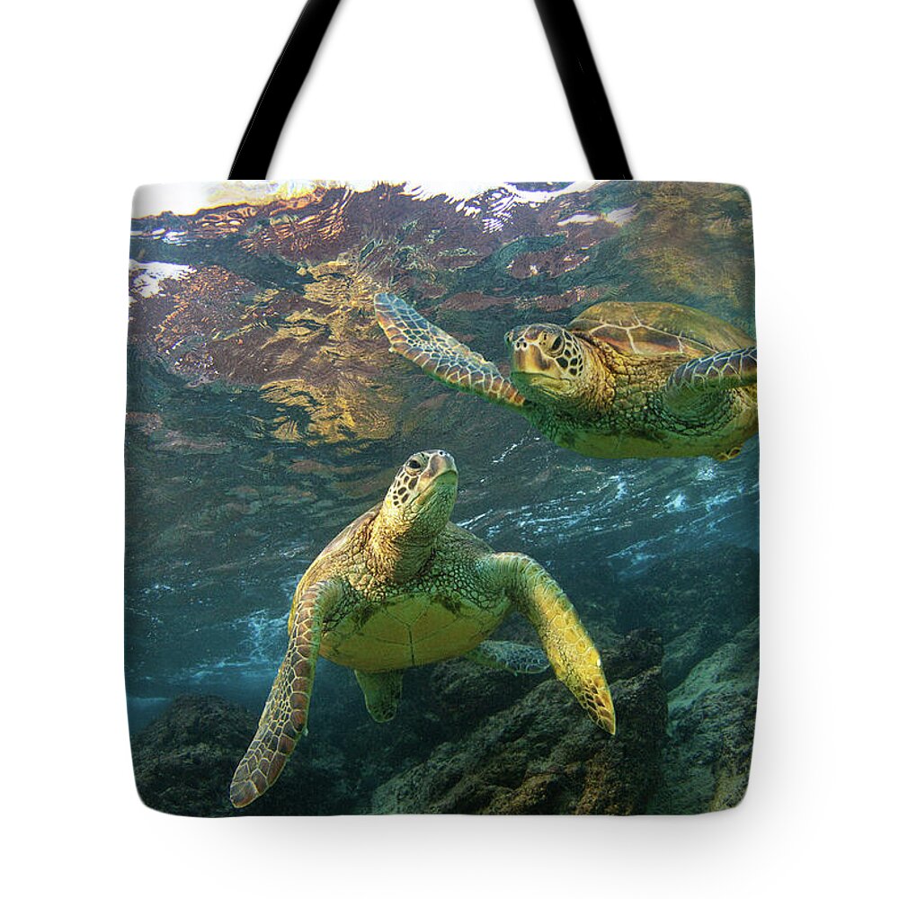 Maui Hawaii Turtles Black Rock Sealife Oceanlife Tote Bag featuring the photograph Friends by James Roemmling