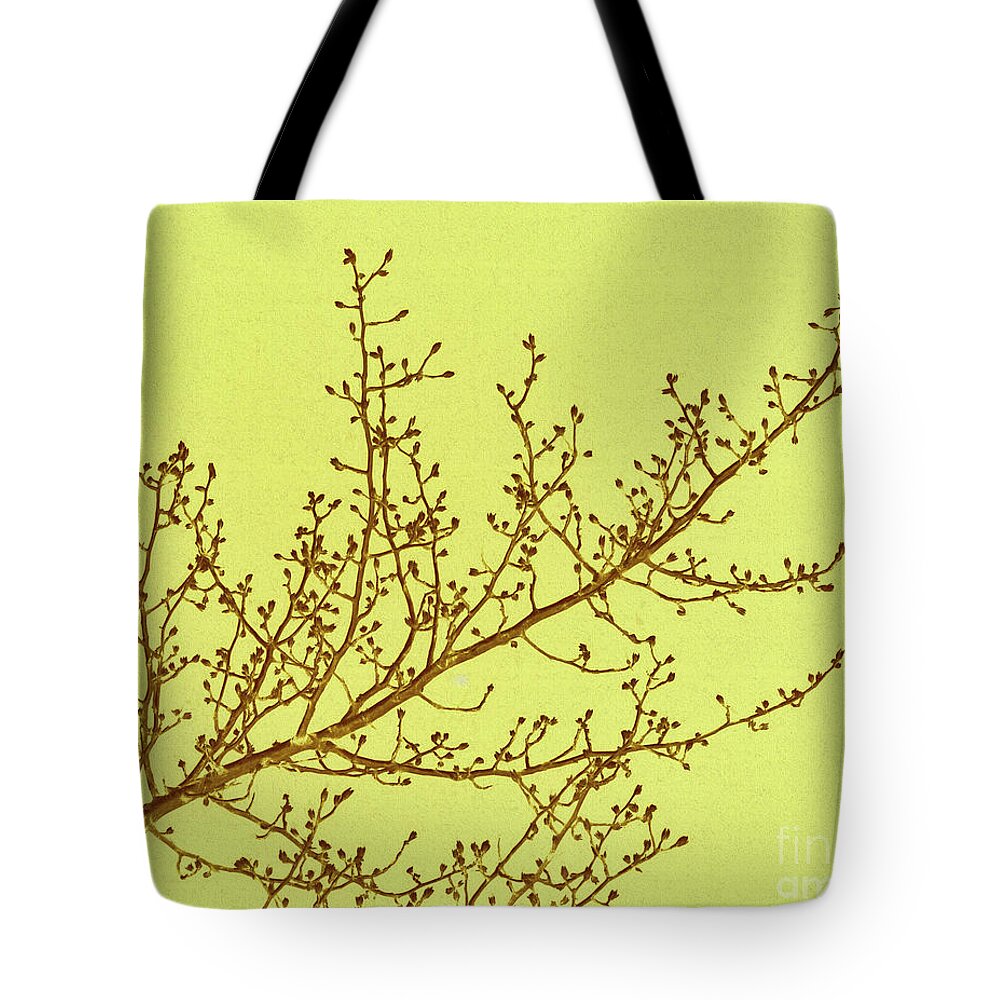 Infrared Tote Bag featuring the photograph Budding by Izet Kapetanovic