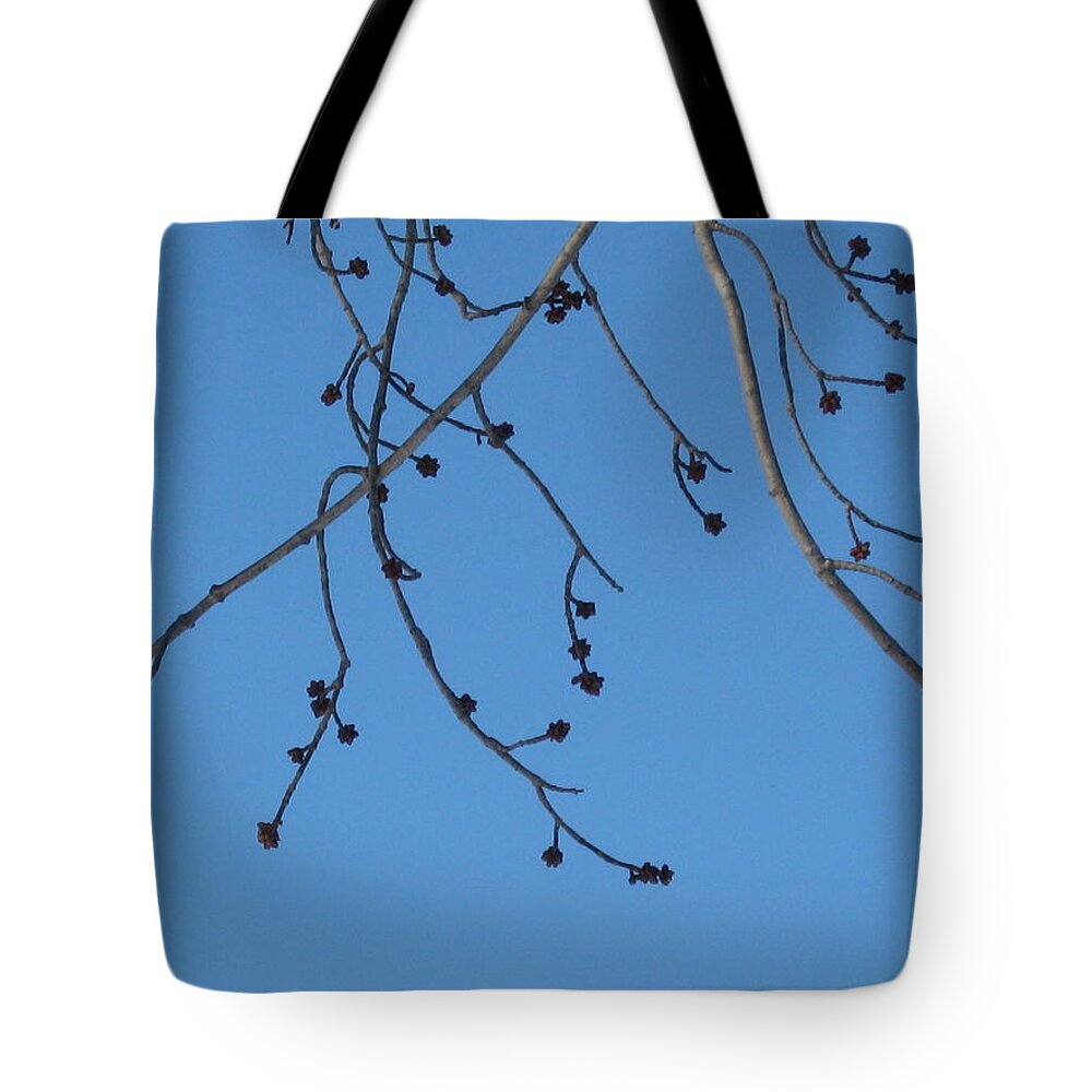 Nature Tote Bag featuring the photograph Buds and the blue sky by Rose Dellinger