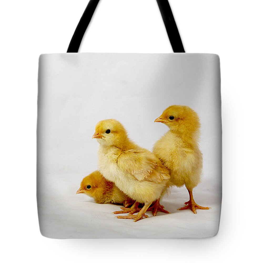 Adorable Tote Bag featuring the photograph Buff Orpington Trio by Richard Reeve