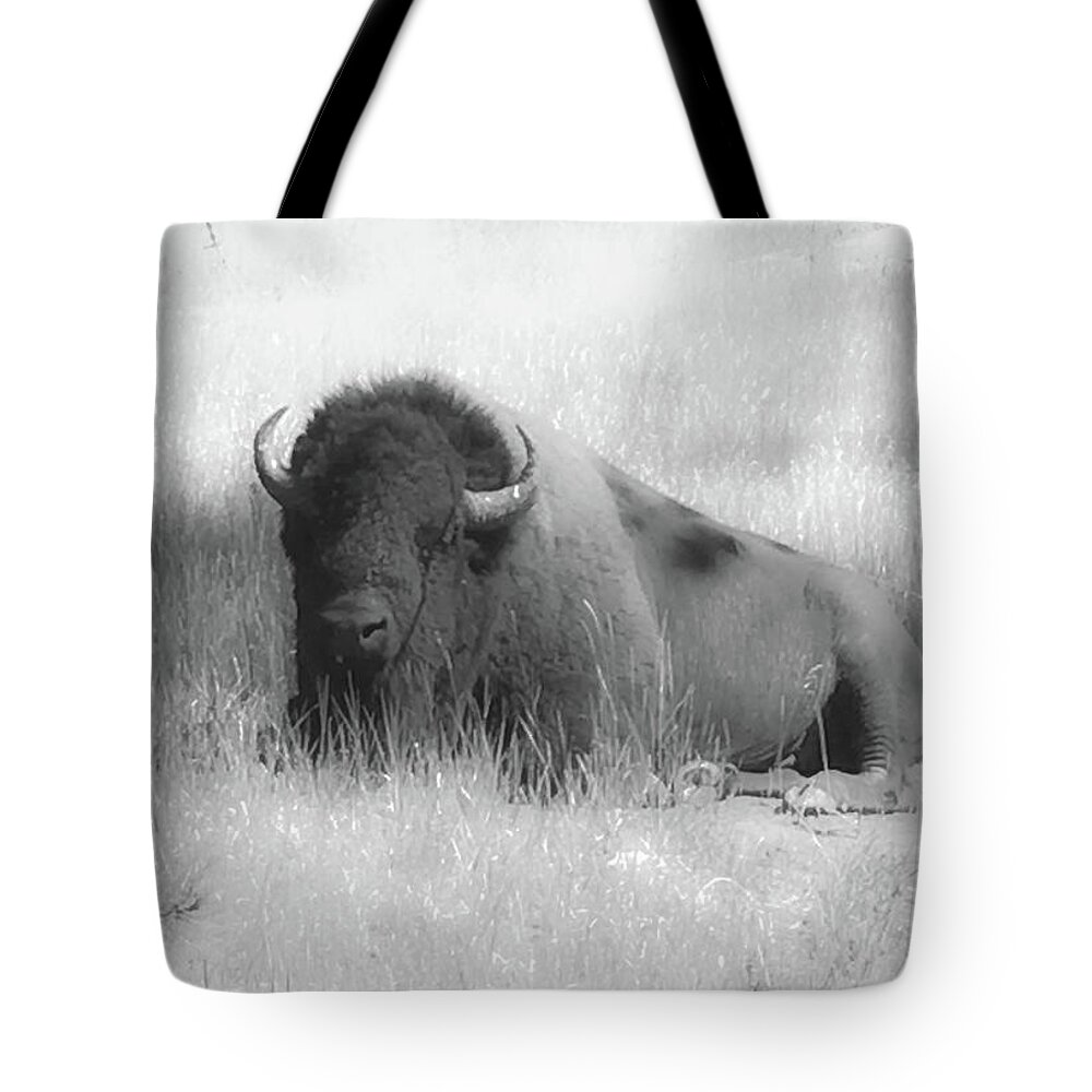 Buffalo Dream Tote Bag featuring the digital art Buffalo Dream by Aaron Geraud