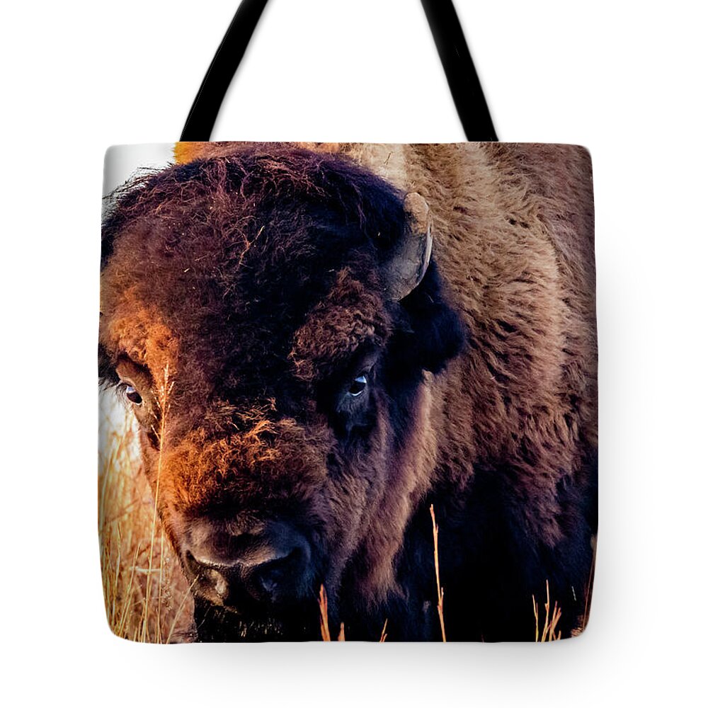 Jay Stockhaus Tote Bag featuring the photograph Buffalo Face by Jay Stockhaus