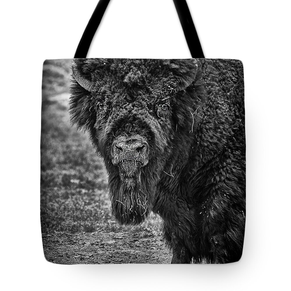 Black & White Close Up Tote Bag featuring the photograph Buffalo by Mark Peavy