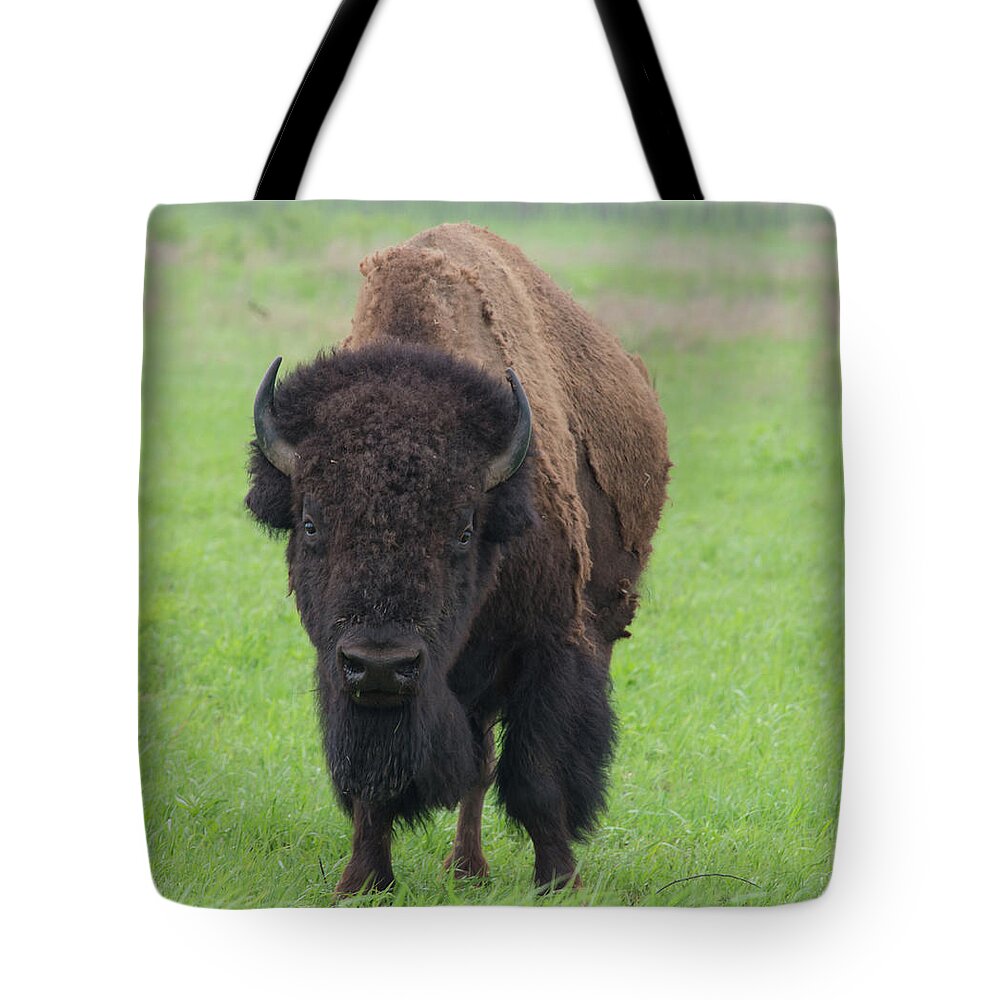Buffalo Tote Bag featuring the photograph Buffalo on the Tallgrass Pairie by Bert Peake