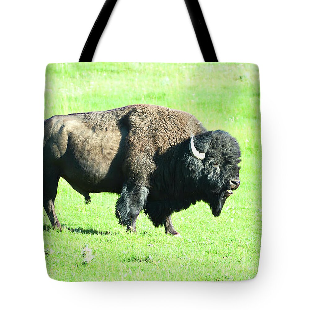Buffalo Tote Bag featuring the photograph Buffalo Stroll by La Dolce Vita