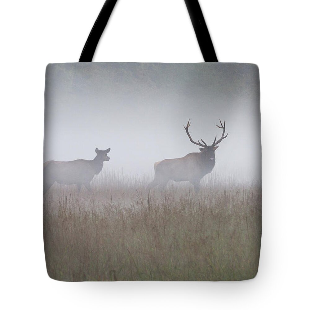 Elk Tote Bag featuring the photograph Bull and Cow Elk in Fog - September 30 2016 by D K Wall