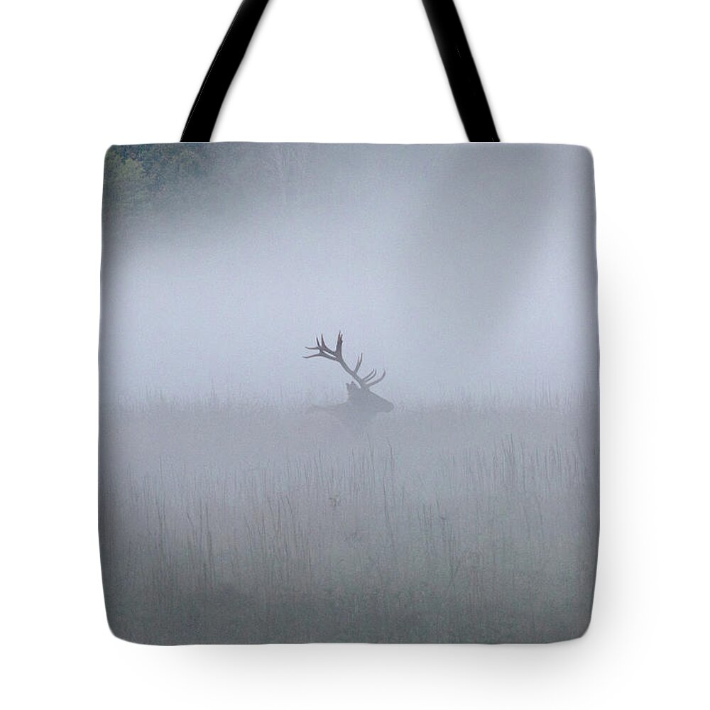Elk Tote Bag featuring the photograph Bull Elk in Fog - September 30, 2016 by D K Wall