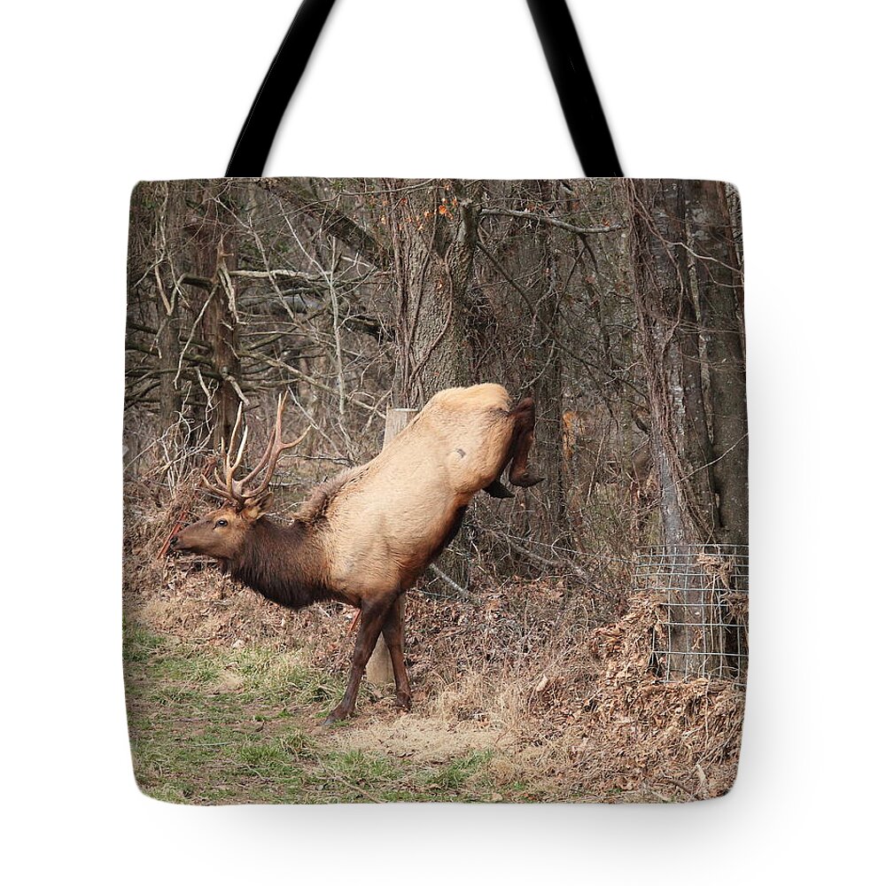 Bull Elk Tote Bag featuring the photograph Bull Elk Jumping Fence by Michael Dougherty
