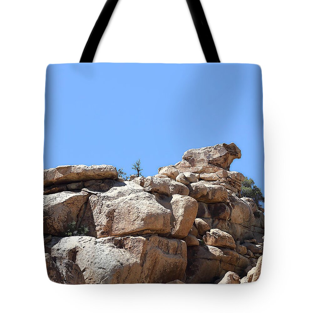 Bull From Joshua Tree Tote Bag featuring the photograph Bull From Joshua Tree by Viktor Savchenko