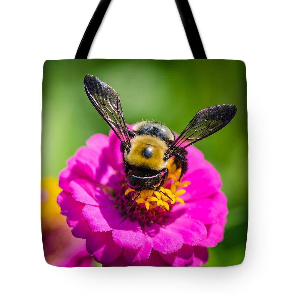 Bumble Tote Bag featuring the photograph Bumble Bee Macro Image by Bruce Pritchett