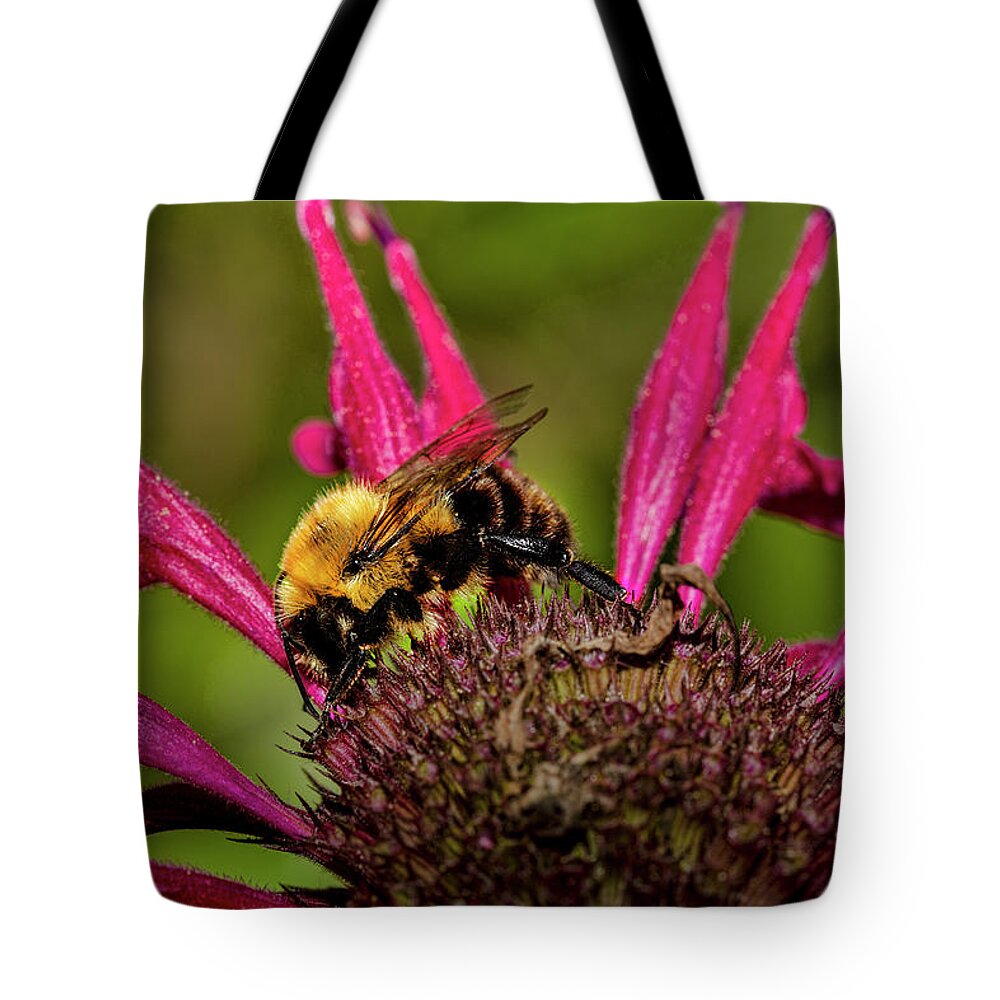 Ray Kent Tote Bag featuring the photograph Bumble Bee by Ray Kent