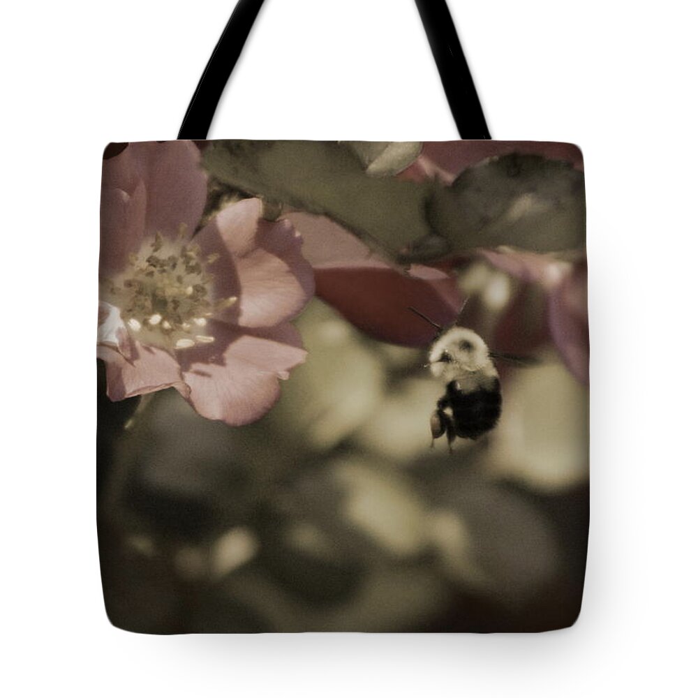 Toasted Spice Tote Bag featuring the photograph Bumblebee Flying to Country Rose in Toasted Spice and Sepia Tones by Colleen Cornelius
