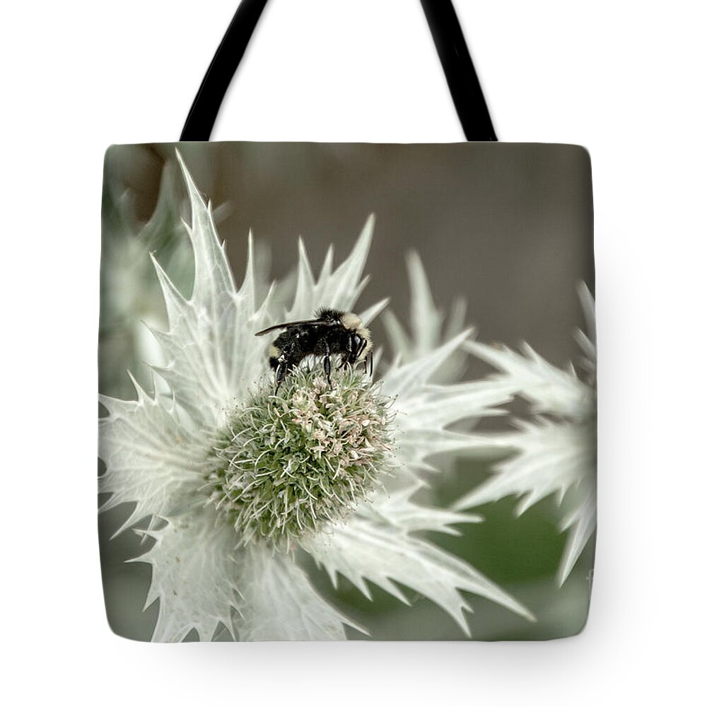Bumblebee On Thistle Flower Tote Bag featuring the photograph Bumblebee on Thistle Flower by Victoria Harrington