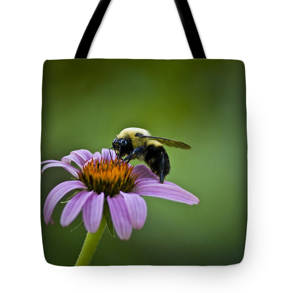 Bumblebee Tote Bag featuring the photograph Bumblebee by Teresa Mucha