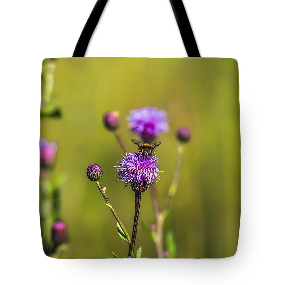 Bumblebee Tote Bag featuring the photograph Bumblebee thistle by Leif Sohlman