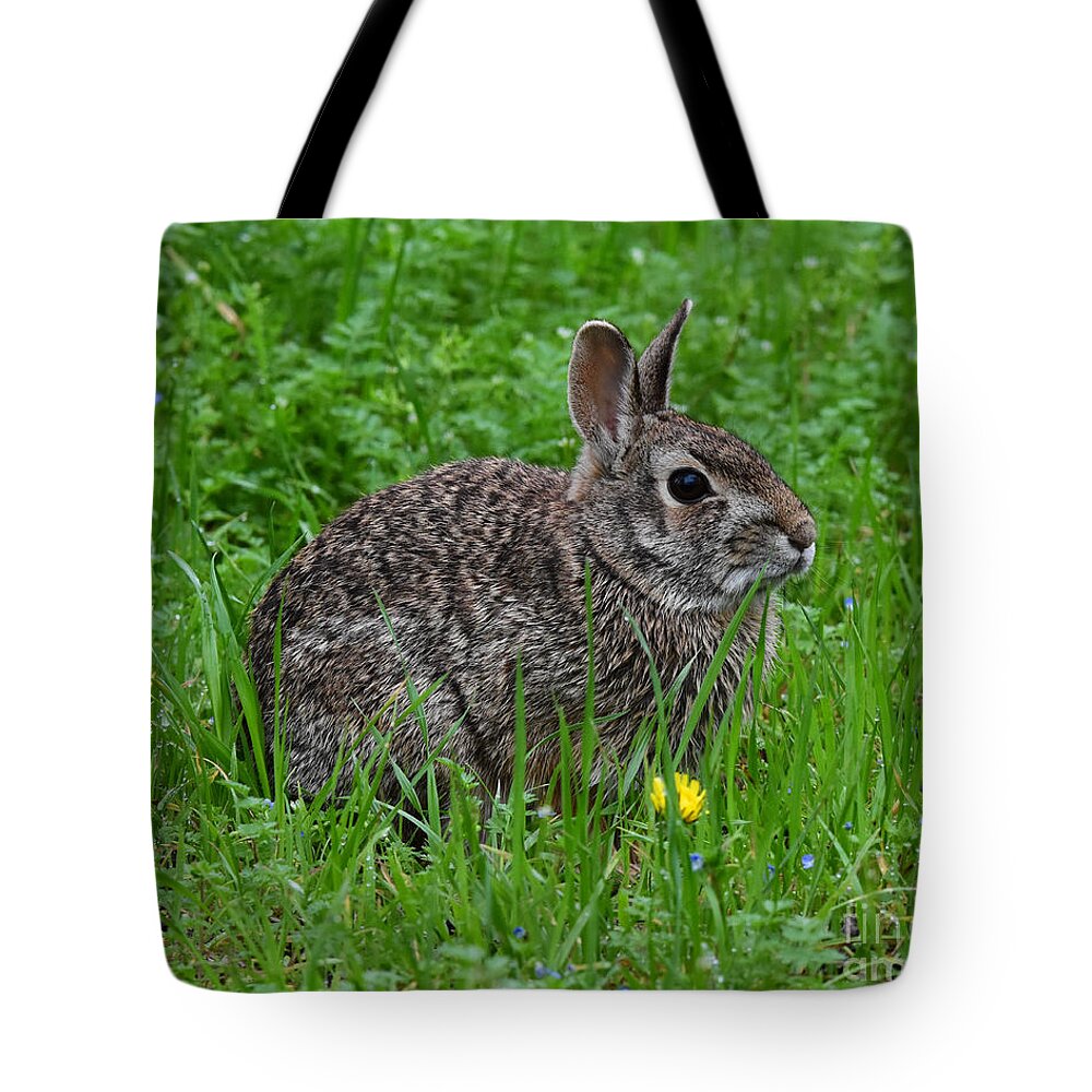 Cottontail Tote Bag featuring the photograph Bunny in Flowers by Jeanette Fiveash