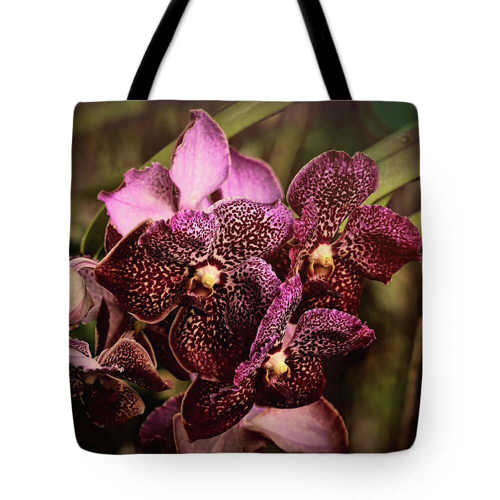 Orchids Tote Bag featuring the photograph Burgundy Treasures by Judy Vincent