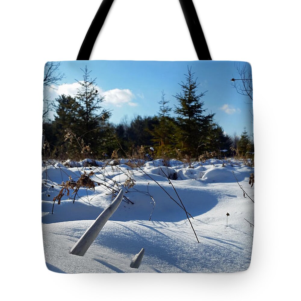 Shed Tote Bag featuring the photograph Buried Treasure by Brook Burling