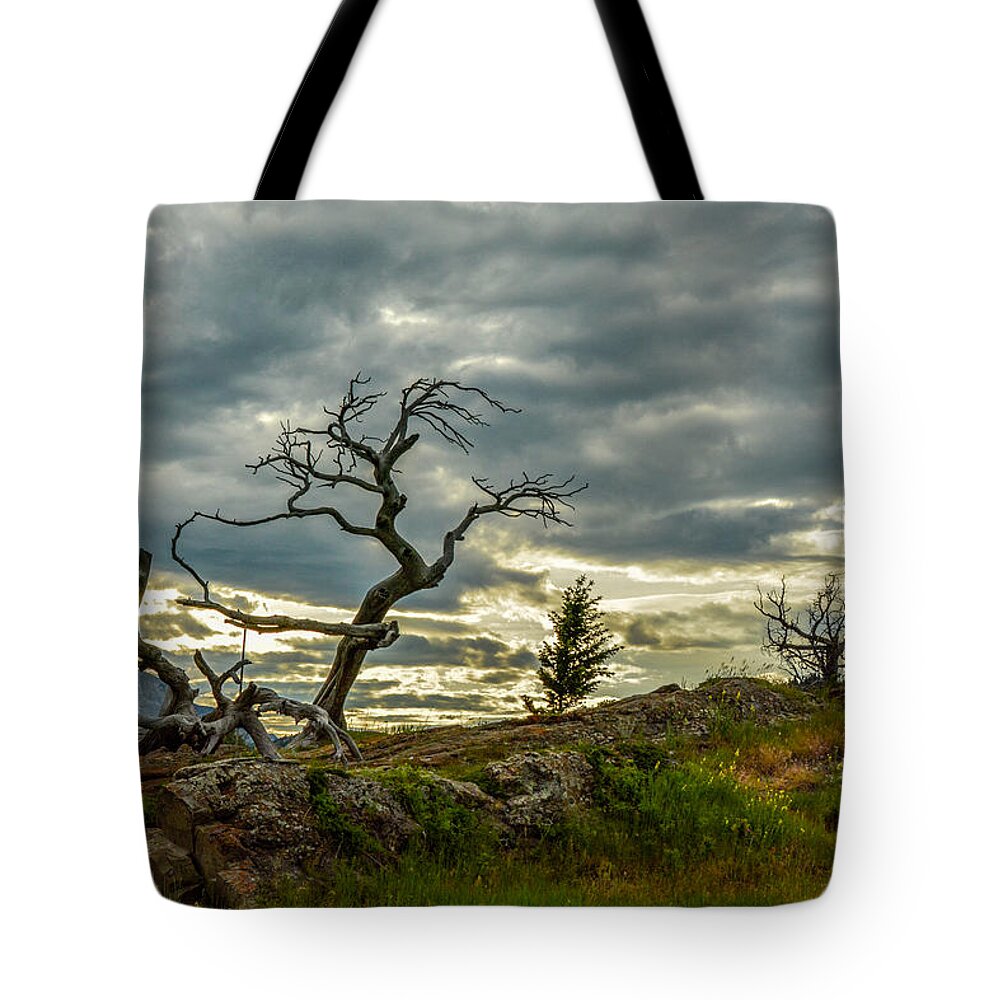 Landscape Tote Bag featuring the photograph Burmis Tree and Wind Swept Pines by Constance Puttkemery