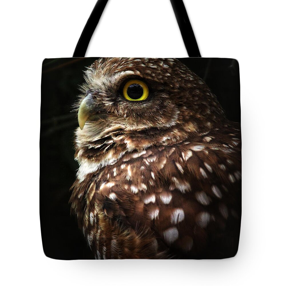 Birds Tote Bag featuring the photograph Burrowing Owl Protrait by Elaine Malott