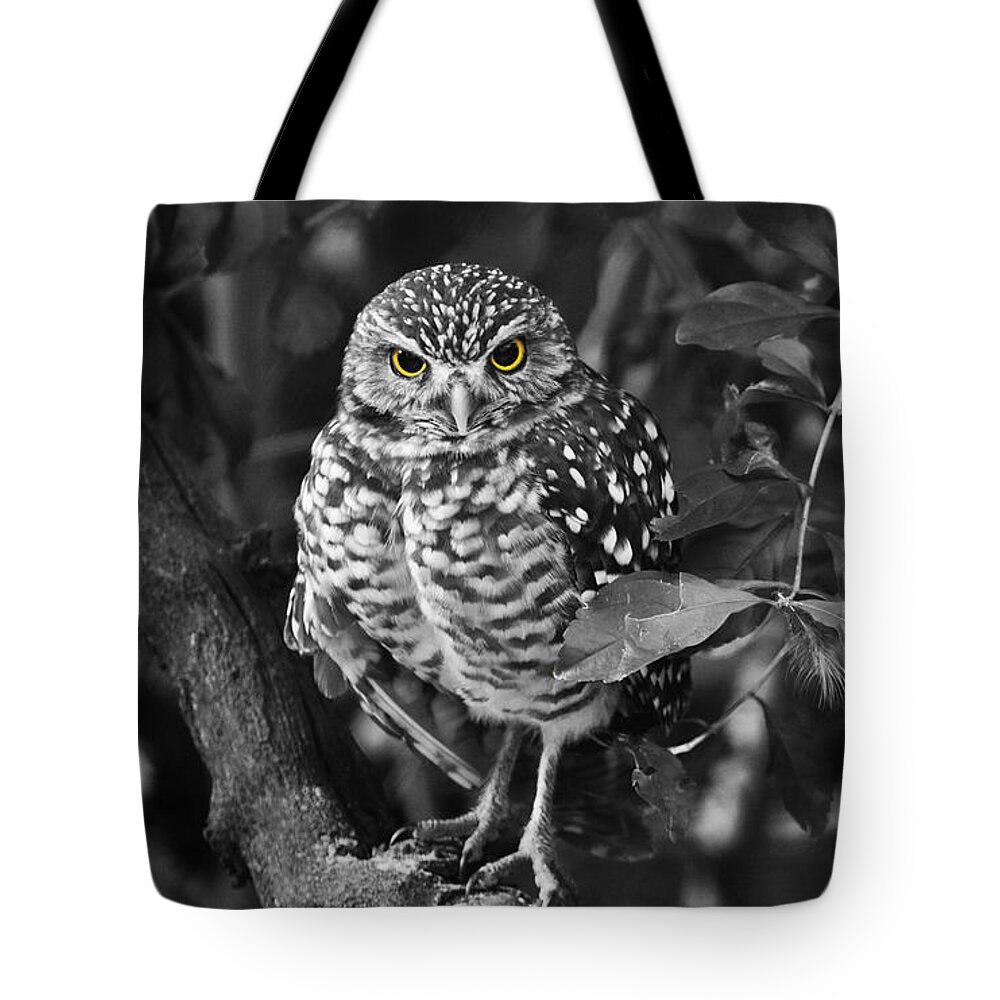 Burrowing Owl Tote Bag featuring the photograph Burrowing Owl selective color eyes by Judy Wanamaker